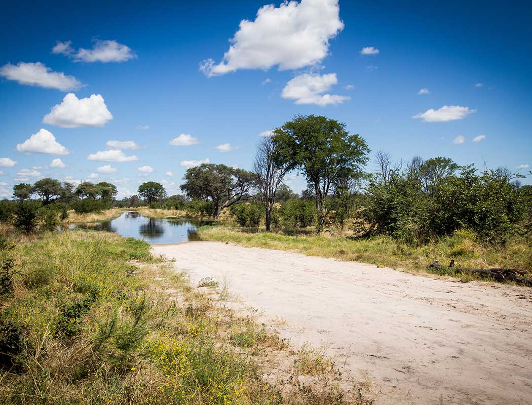 Two days exploring Santawani with Okavango Mobile Safaris, budget camping trips in northern Botswana